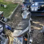 LOTE 36425