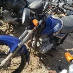 LOTE 36419