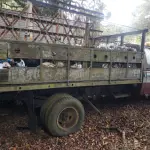 LOTE 36489