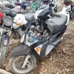 LOTE 36442