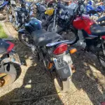 LOTE 36403