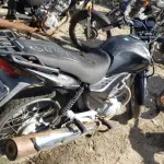 LOTE 36401