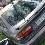 LOTE 36504