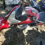 LOTE 36423