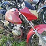 LOTE 36377