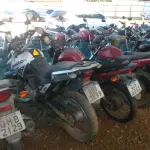 LOTE 36394