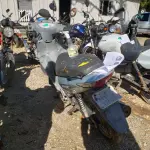 LOTE 36422