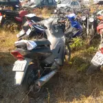 LOTE 36391