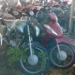 LOTE 36392