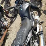 LOTE 36401