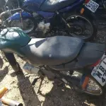 LOTE 36431
