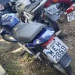 LOTE 36438