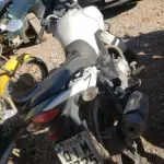 LOTE 36448