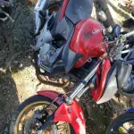 LOTE 36423