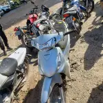 LOTE 36422