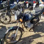 LOTE 36411