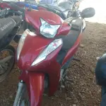 LOTE 36395