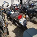 LOTE 36421