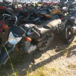 LOTE 36393