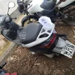 LOTE 36442