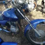 LOTE 36427