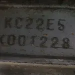LOTE 36443
