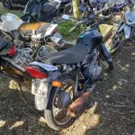 LOTE 36403