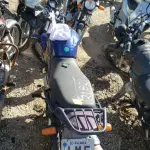 LOTE 36419