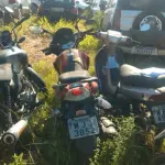 LOTE 36390