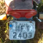 LOTE 36546