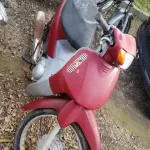 LOTE 36409