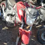 LOTE 36447
