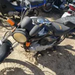 LOTE 36401