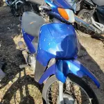 LOTE 36424
