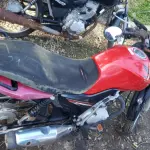 LOTE 36417