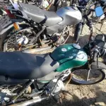LOTE 36431