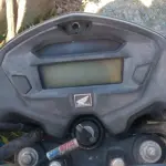 LOTE 36393