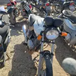 LOTE 36402