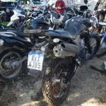 LOTE 36410