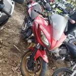 LOTE 36429