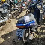 LOTE 36424