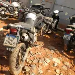 LOTE 36379