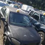 LOTE 36491