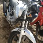 LOTE 36415