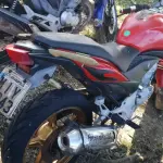LOTE 36423