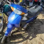 LOTE 36424
