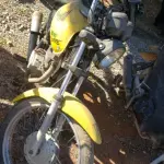 LOTE 36449