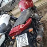 LOTE 36405
