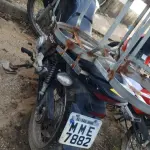 LOTE 36437