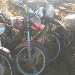 LOTE 36546